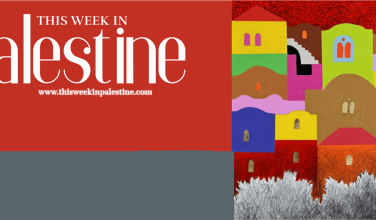 Article: Women&rsquo;s Health amid the War in Gaza